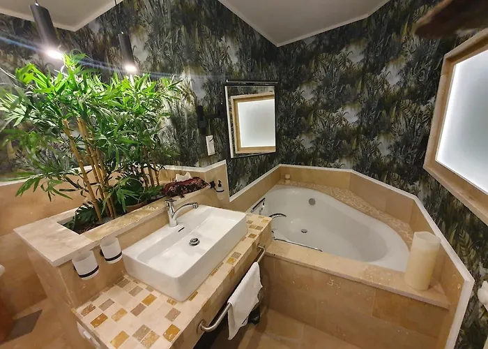 Blaue Lilie Im Herzen Der Altstadt * Regensburg