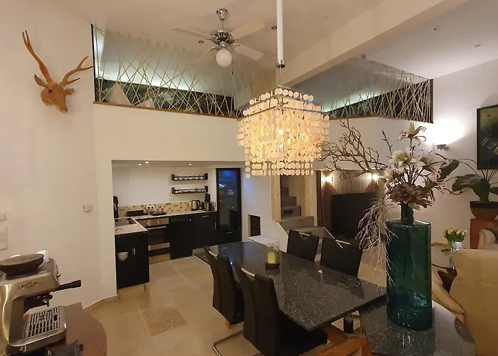 Blaue Lilie Im Herzen Der Altstadt