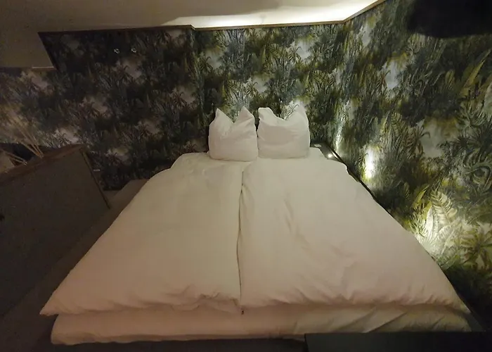 Blaue Lilie Im Herzen Der Altstadt * Regensburg