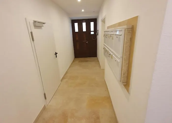 Blaue Lilie Im Herzen Der Altstadt Regensburg